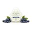 Fresh Citrus Scented Wax Melts Plant-Based Wax, 4 Pack Pet House
