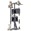 FDW | 54" Cat Tree Tower | Dark Gray | Multi-Level Indoor Activity Center