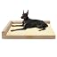 Patas Lague Orthopedic Large Dog Bed Washable Pet Sofa Bed 36''X24'' Black