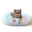 Calming Dog Bed & Cat Bed Washable Puppy Bed,24" Light Grey