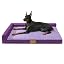Patas Lague Orthopedic Large Dog Bed Washable Pet Sofa Bed 36''X24'' Black