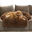 Calming Dog Bed Fluffy Plush Dog Mat for Furniture Protector with Removable Washable Cover for Large Medium Small Dogs and Cats (Large, Light Grey)
