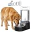 5L Cat Gravity Water Bowl Dispenser: Stainless Steel Bowl
