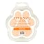 Fresh Citrus Scented Wax Melts Plant-Based Wax, 4 Pack Pet House