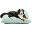 EHEYCIGA Fluffy Dog Crate Bed, Plush Extra Large Dog Pillow, Grey