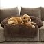 Calming Dog Bed Fluffy Plush Dog Mat for Furniture Protector with Removable Washable Cover for Large Medium Small Dogs and Cats (Large, Light Grey)