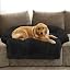 Calming Dog Bed Fluffy Plush Dog Mat for Furniture Protector with Removable Washable Cover for Large Medium Small Dogs and Cats (Large, Light Grey)