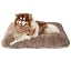 EHEYCIGA Fluffy Dog Crate Bed, Plush Extra Large Dog Pillow, Grey