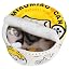 寵幸 Ramen Noodle Cat Bed, Soft Warm Washable for Cats Dogs