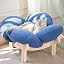 Elevated Cat Bed for Indoor Cats Couch Sofa Flower