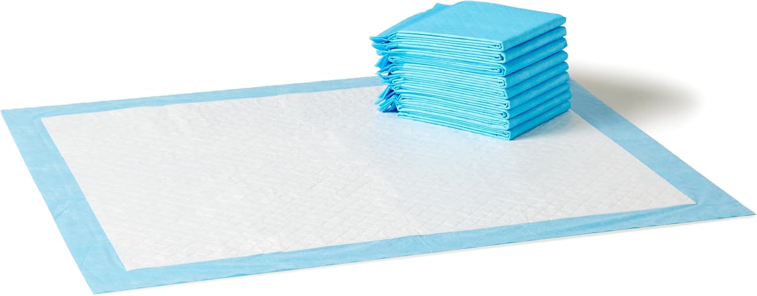 Basics X-Large Heavy Duty Absorbent Puppy Potty Pads, Leak-Proof, Quick-Dry, Super Absorbent Gel Technology for Dog Training, 28 x 34 Inches, Blue & White, Pack of 50