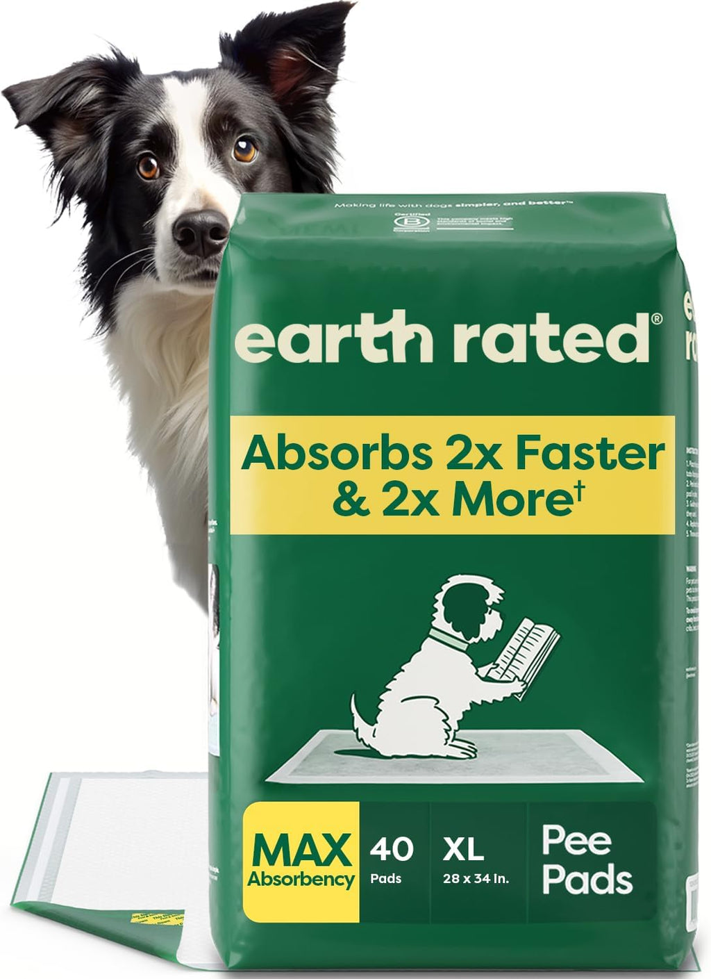 Regular (L) Dog & Puppy Pee Pads, Discreet Top, Max Absorbency, 40CT