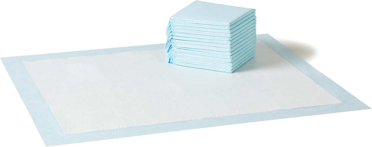 Basics Leak-Proof Dog and Puppy Potty Training Pee Pads with Quick-Dry 5-Layer Design, X-Large Size 28 x 34 Inch, Blue & White, 40-Pack