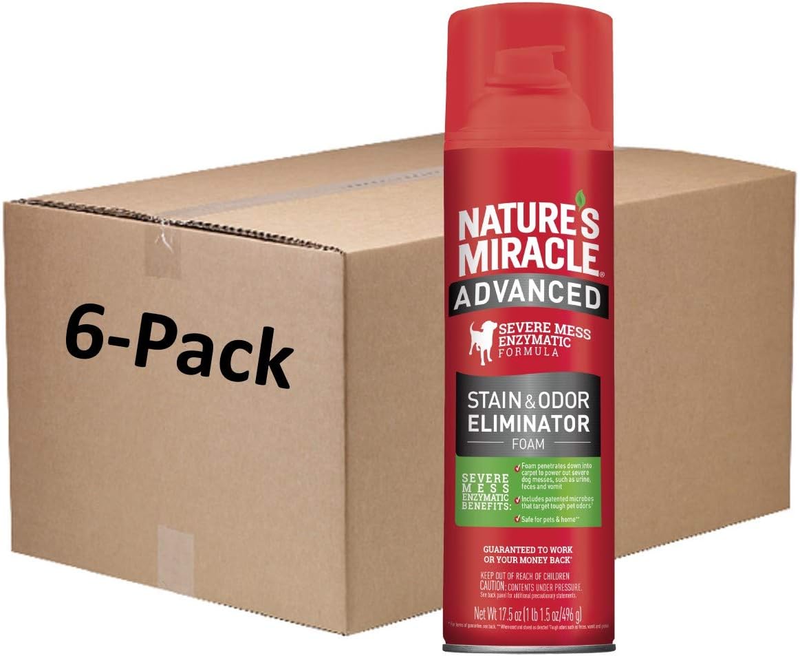 Nature’s Miracle Advanced Dog Stain & Odor Eliminator, Severe Mess, 1 gal