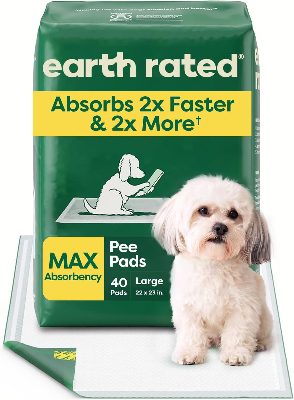 Regular (L) Dog & Puppy Pee Pads, Discreet Top, Max Absorbency, 40CT