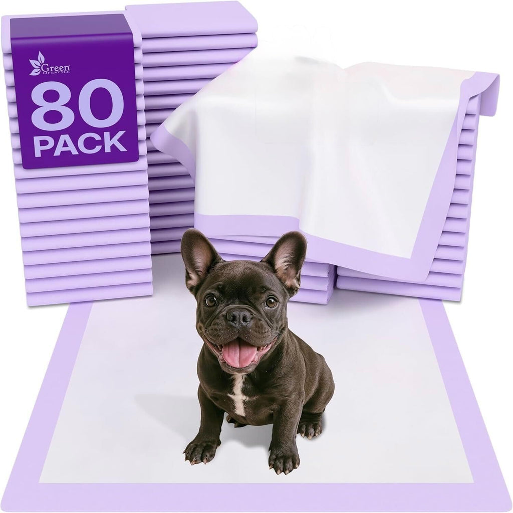 Washable Underpads - Large Pads for use as Incontinence Bed Pads, Reusable Pet Pads, Great for Dogs, Cats, Bunny, Seniors Bed Pad (Pack of 2 - 41x41)