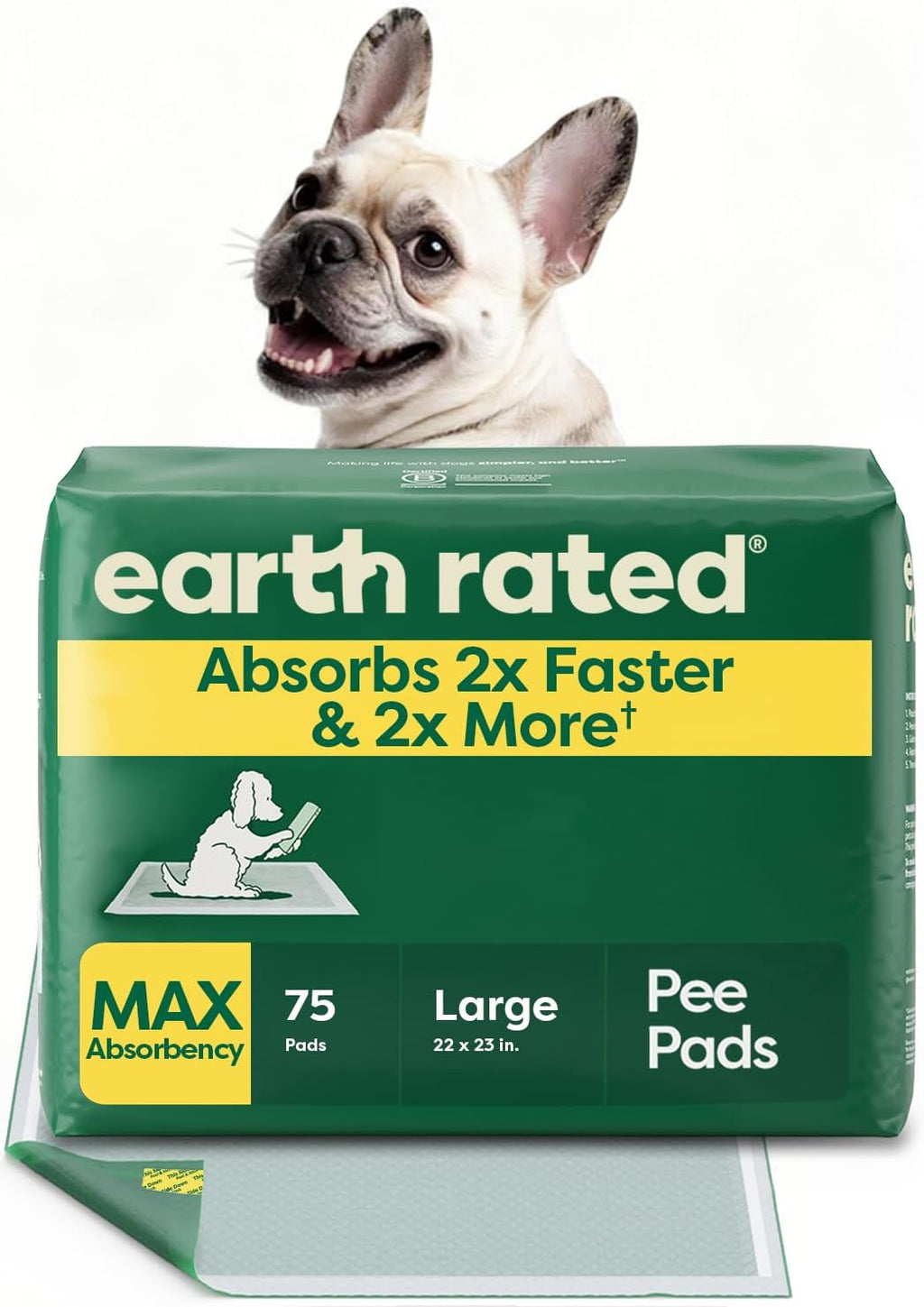 Regular (L) Dog & Puppy Pee Pads, Discreet Top, Max Absorbency, 40CT