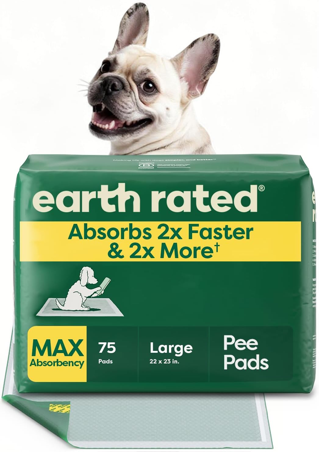 Regular (L) Dog & Puppy Pee Pads, Discreet Top, Max Absorbency, 40CT