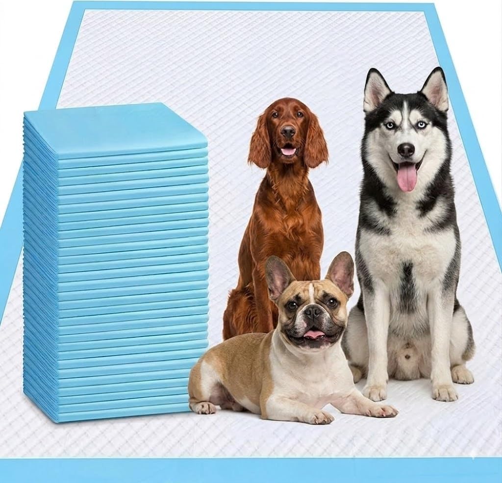 XXXXL Puppy Pee Pads for Dogs 31"x47" 40 Count, Extra Large Dog Pee Pads, Leak-Proof & Super Absorbent Dog Pee Pads, Thicken Disposable Potty Pads Puppy Training Pads for Cats Rabbits