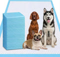 XXXXL Puppy Pee Pads for Dogs 31"x47" 40 Count, Extra Large Dog Pee Pads, Leak-Proof & Super Absorbent Dog Pee Pads, Thicken Disposable Potty Pads Puppy Training Pads for Cats Rabbits