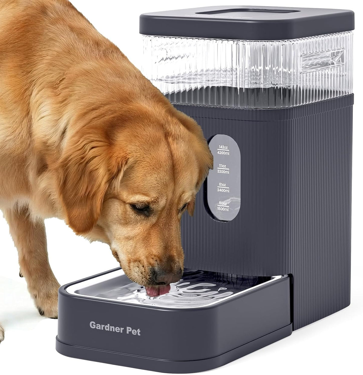 2.2 Gallon Automatic Dog Water Dispenser with Stainless Steel Bowl