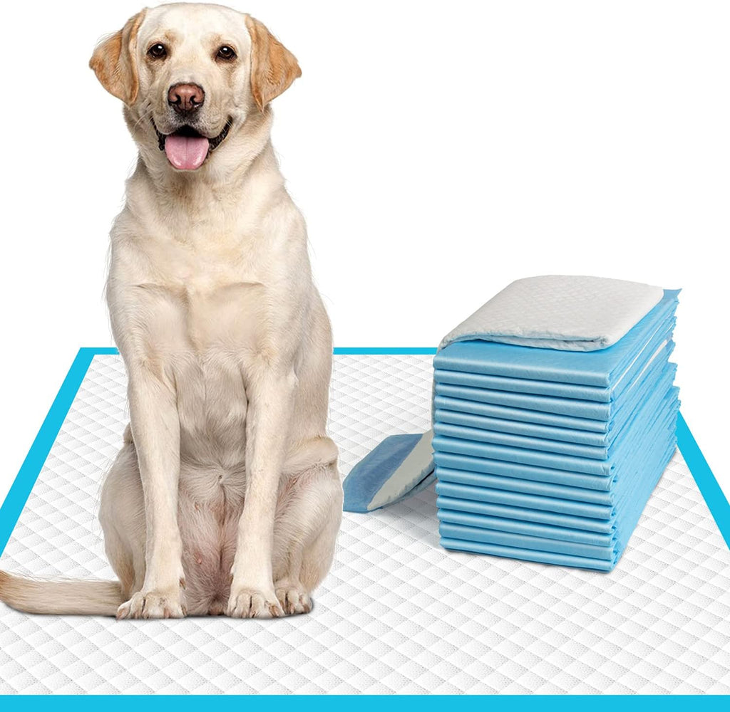 Dog Pee Pads Extra Large 28"x34", X-Large Training Puppy Pee Pads Super Absorbent & Leak-Proof, XL Disposable Pet Piddle Pad and Potty Pads for Dogs, Puppies, Doggie (XLarge:28"*34"-40 Ct)