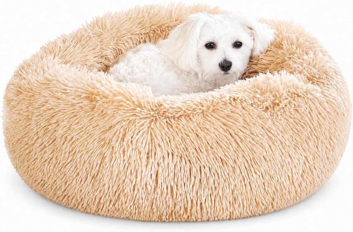 Cat Beds for Indoor Cats & Small Dog, Fluffy Cat Bed
