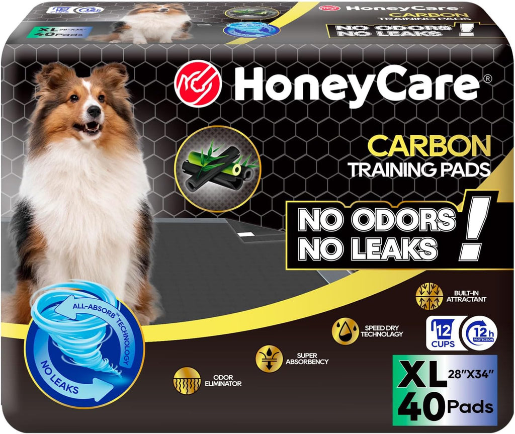 HONEY CARE All-Absorb Puppy Training Pads | Doggie Potty Pads Absorb Eliminating Urine Odor, Ultra Charcoal Dog Pee Pad (Carbon, L 22x23 inch, 100ct)