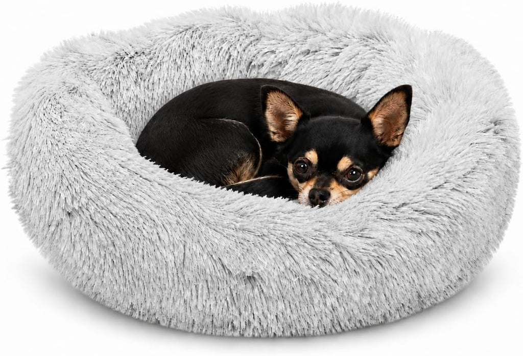 Cat Beds for Indoor Cats & Small Dog, Fluffy Cat Bed