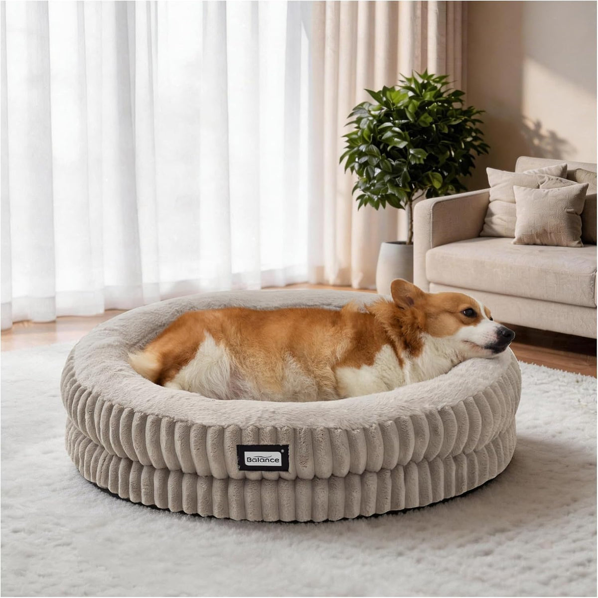BALANCE Cat Bed Kitten Bed, Washable Round Cat Beds for Indoor Cats, Super Soft Plush Faux Fur Pet Bed for Puppy and Kitten with Anti-Slip Bottom