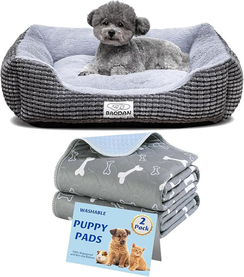 20 inches Small Dog Beds for Small Dogs with 2Pack Reusable Washable Puppy Pads 16x24, Fluffy Cat Beds for Indoor Cats with Super Soft Fillings, Fast Absorbent Dog Pee Pads for Dogs Bed, Grey