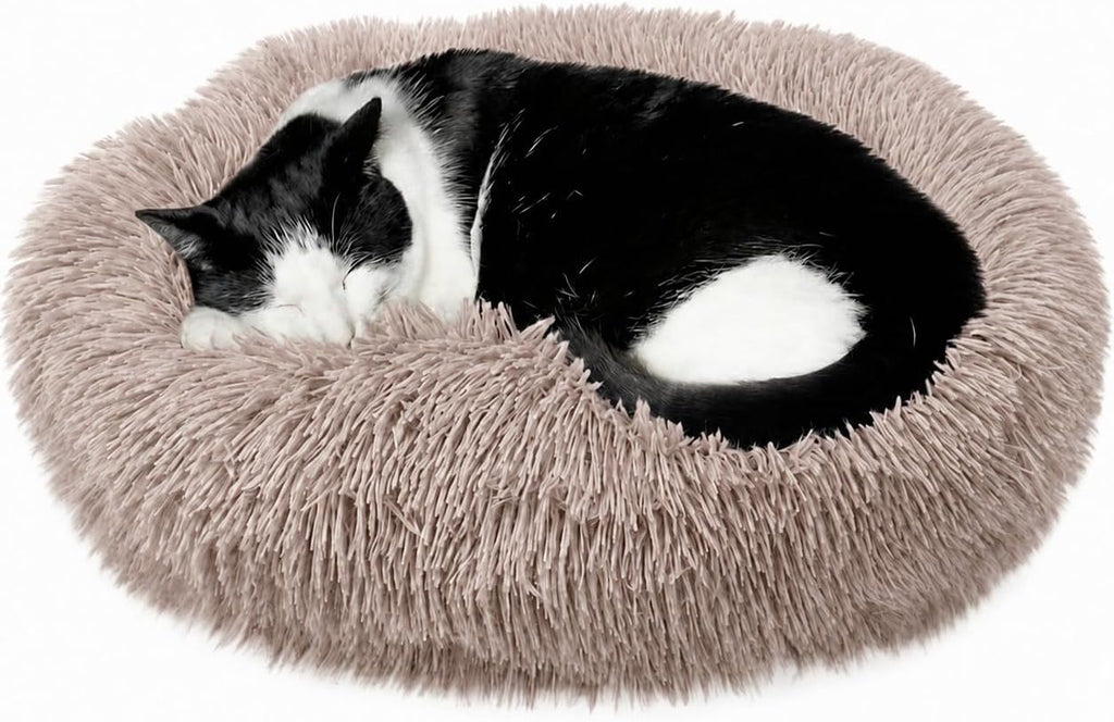 Cat Beds for Indoor Cats & Small Dog, Fluffy Cat Bed