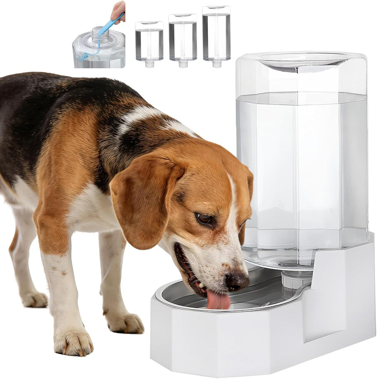 5L Cat Gravity Water Bowl Dispenser: Stainless Steel Bowl