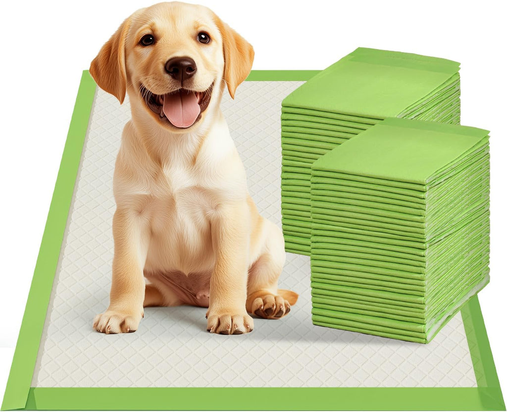 Disposable Dog Pee Pads, XL 28"x34", All Edge-Wrapped, ECO Green, Thick Pad