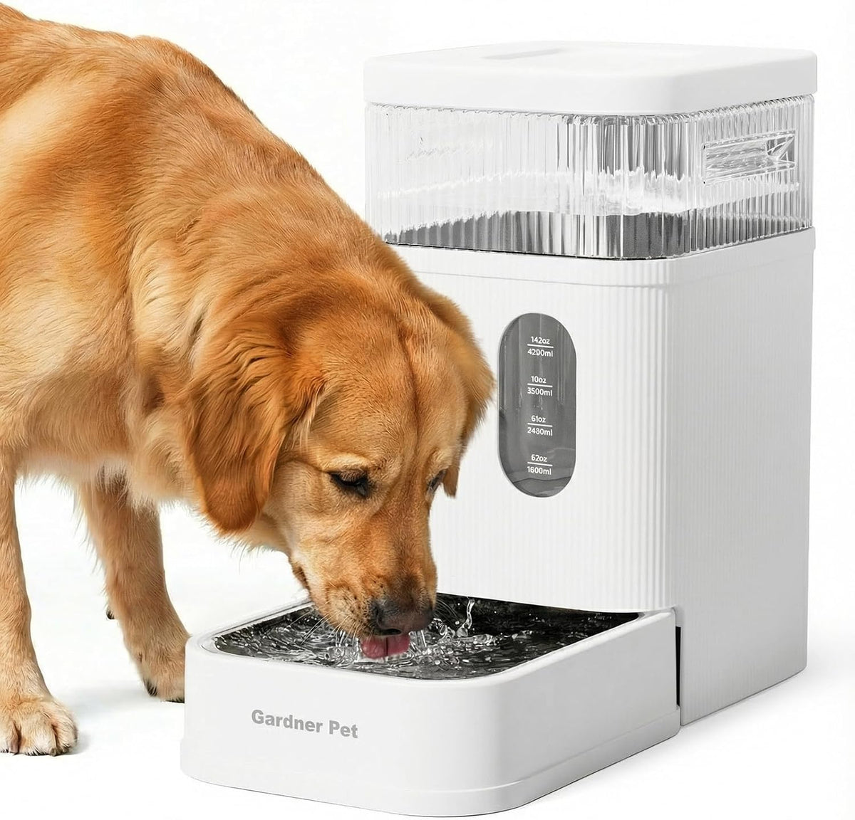 2.2 Gallon Automatic Dog Water Dispenser with Stainless Steel Bowl