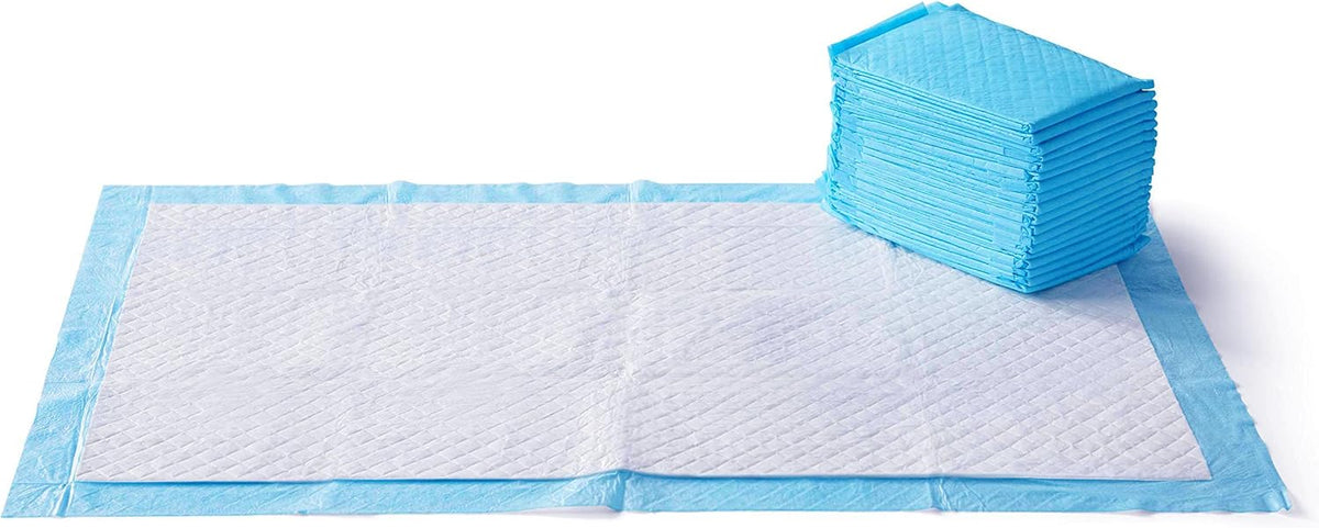 Basics X-Large Heavy Duty Absorbent Puppy Potty Pads, Leak-Proof, Quick-Dry, Super Absorbent Gel Technology for Dog Training, 28 x 34 Inches, Blue & White, Pack of 50