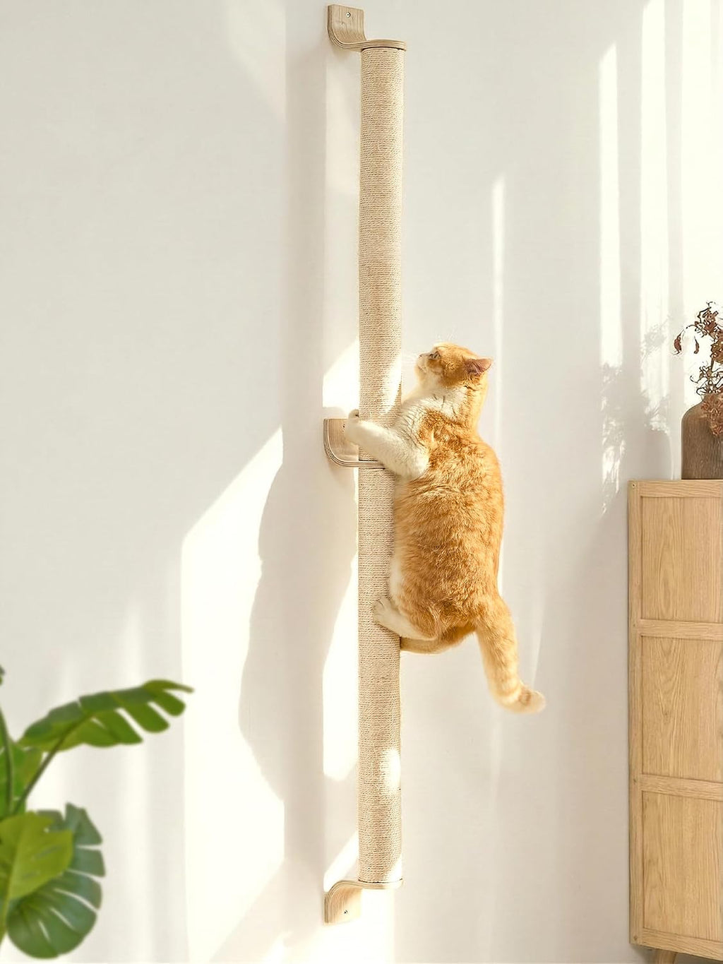 FUKUMARU Cat Wall Scratcher, 60" Tall Kitten Scratching Post