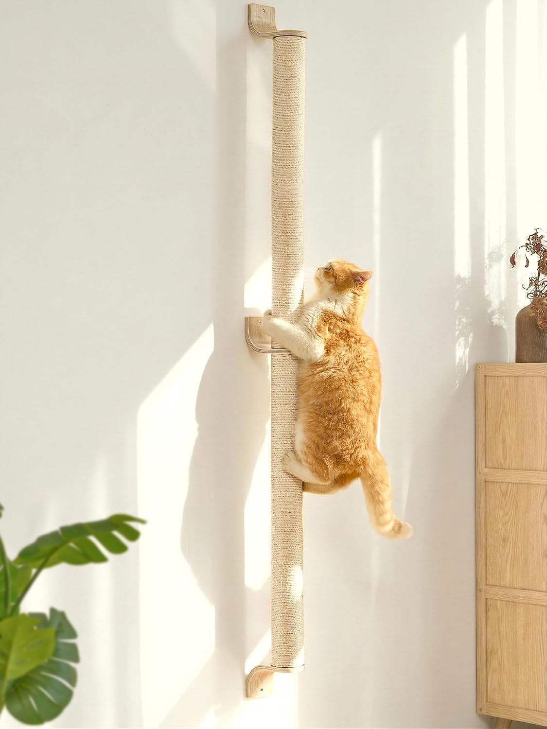 FUKUMARU Cat Wall Scratcher, 60" Tall Kitten Scratching Post