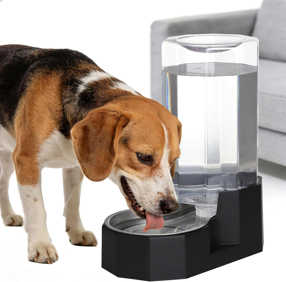5L Cat Gravity Water Bowl Dispenser: Stainless Steel Bowl