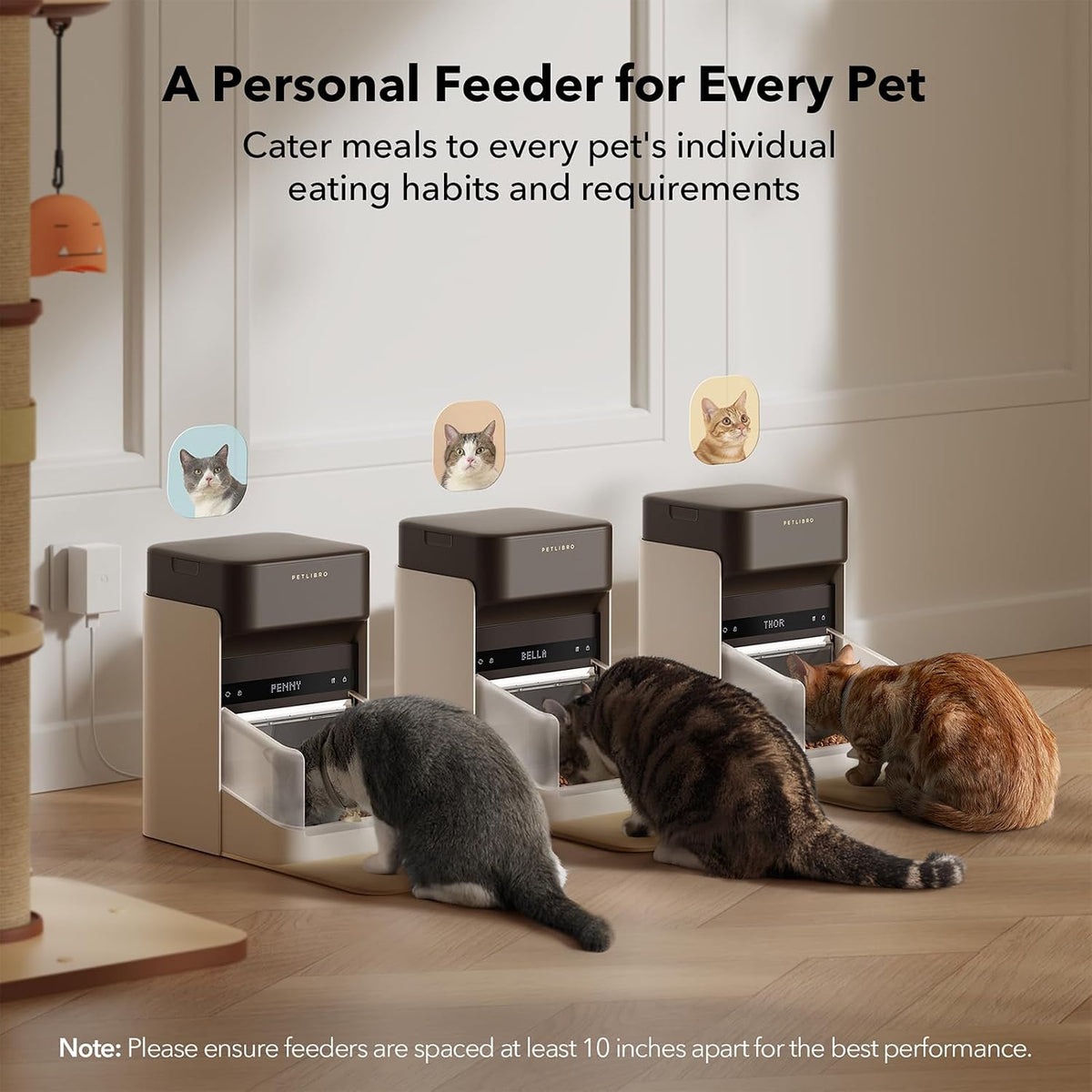 Bundle of PETLIBRO Upgraded RFID Automatic Cat Feeder, 5G Wi-Fi Automatic Pet Feeder, 3L Auto Cat Feeder App Control for Dry Food+ PETLIBRO Wi-Fi Automatic Wet Food Feeder, Refrigerated Pet Feeder