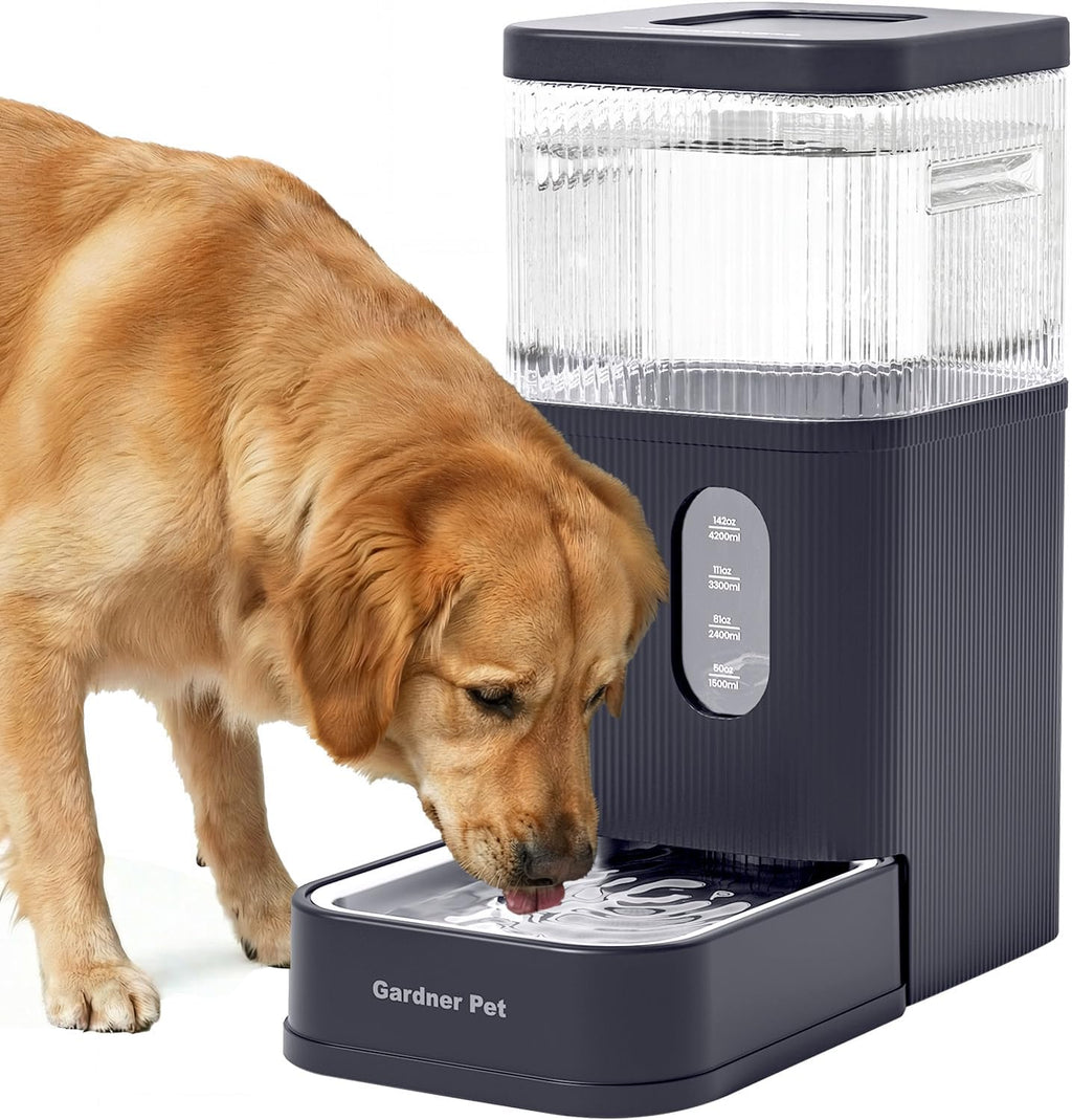 2.2 Gallon Automatic Dog Water Dispenser with Stainless Steel Bowl