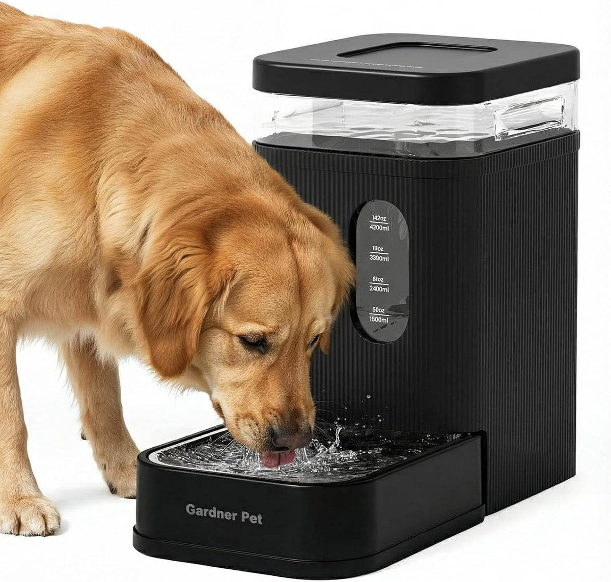 2.2 Gallon Automatic Dog Water Dispenser with Stainless Steel Bowl
