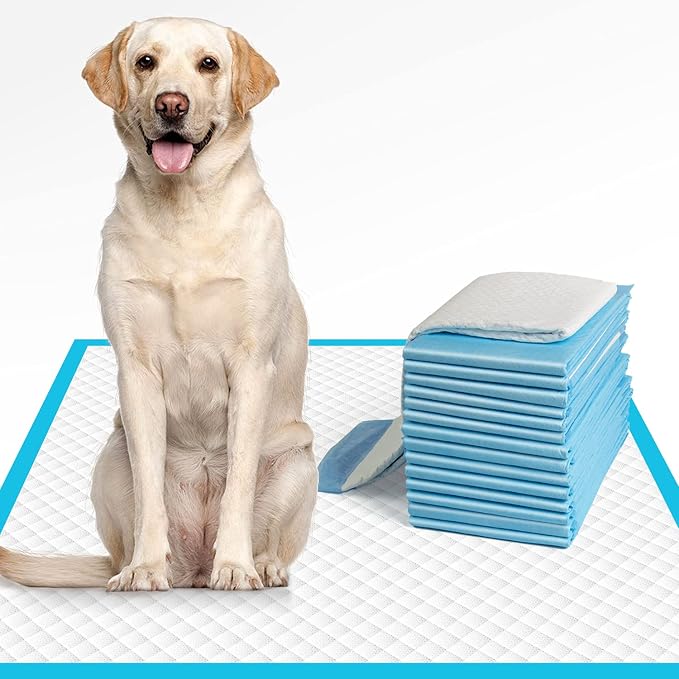 Dog Pee Pads Extra Large 28"x34", X-Large Training Puppy Pee Pads Super Absorbent & Leak-Proof, XL Disposable Pet Piddle Pad and Potty Pads for Dogs, Puppies, Doggie (XLarge:28"*34"-40 Ct)
