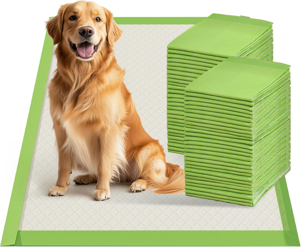 Disposable Dog Pee Pads, XL 28"x34", All Edge-Wrapped, ECO Green, Thick Pad