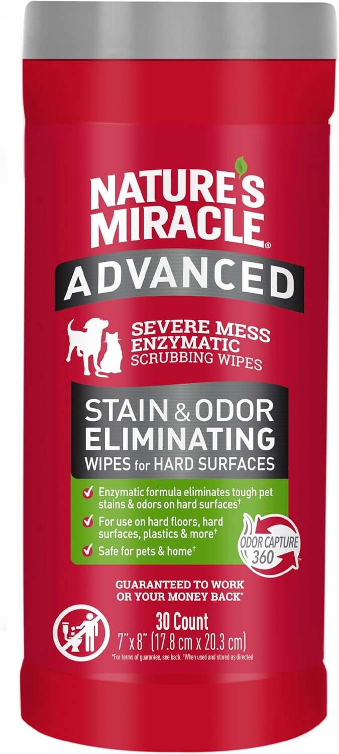 Nature’s Miracle Advanced Dog Stain & Odor Eliminator, Severe Mess, 1 gal