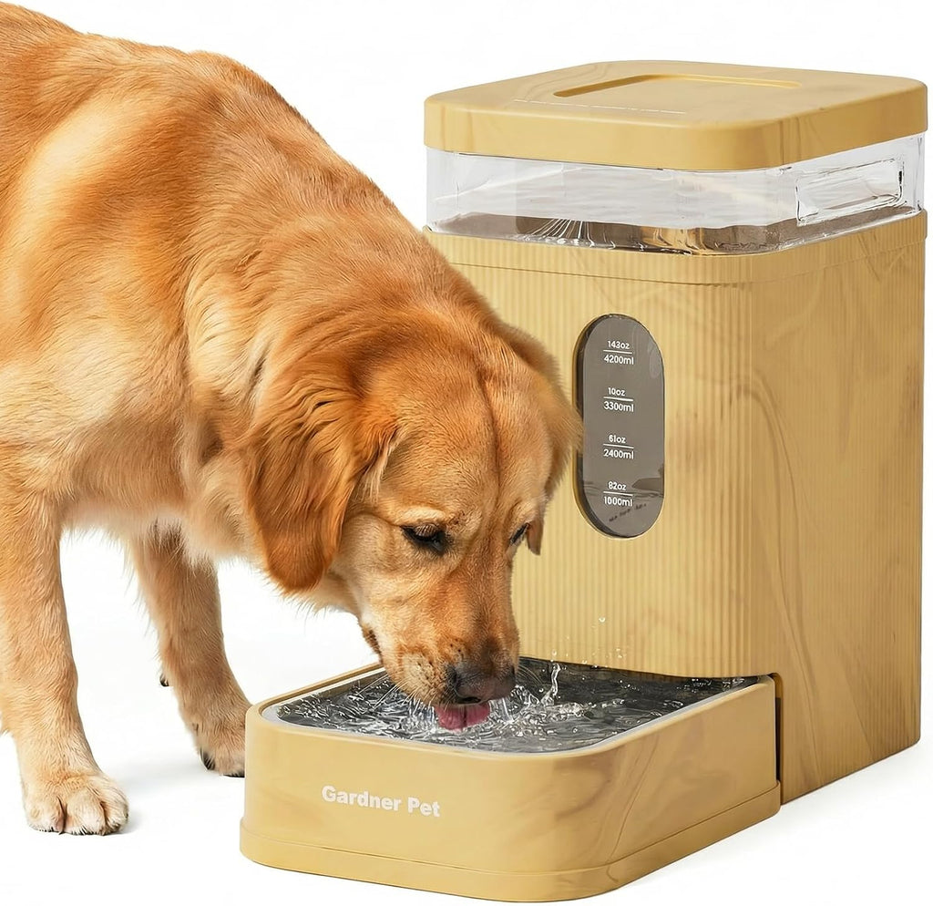 2.2 Gallon Automatic Dog Water Dispenser with Stainless Steel Bowl