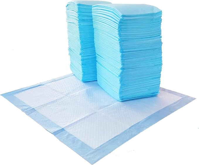 Basics Scented Dog and Puppy Potty Training Pee Pads, 5-Layer Leak-Proof Super Absorbent with Quick-Dry Surface, Regular Size 22 x 22 Inch, Blue & White, 100 Count