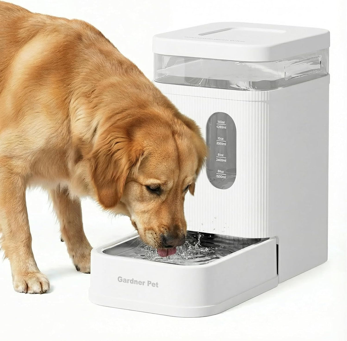 2.2 Gallon Automatic Dog Water Dispenser with Stainless Steel Bowl