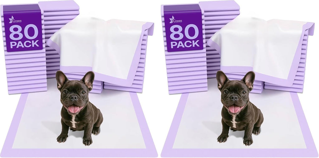 Washable Underpads - Large Pads for use as Incontinence Bed Pads, Reusable Pet Pads, Great for Dogs, Cats, Bunny, Seniors Bed Pad (Pack of 2 - 41x41)