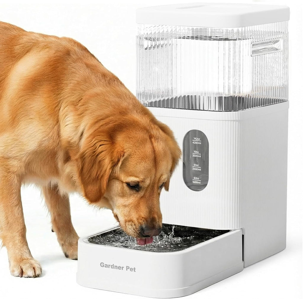 2.2 Gallon Automatic Dog Water Dispenser with Stainless Steel Bowl